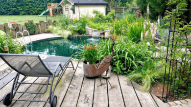 Swimming