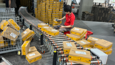 Modular & Flexible: Scaling with Eye‑Flex Conveyor Solutions