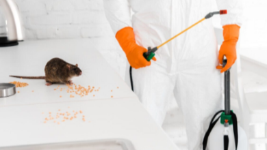 Rat Exterminator Delta Solutions for Effective Pest Control