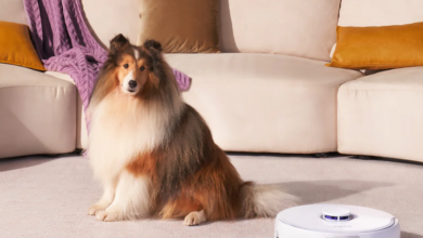 The Rise of Robot Vacuums: Simplifying Daily Floor Cleaning