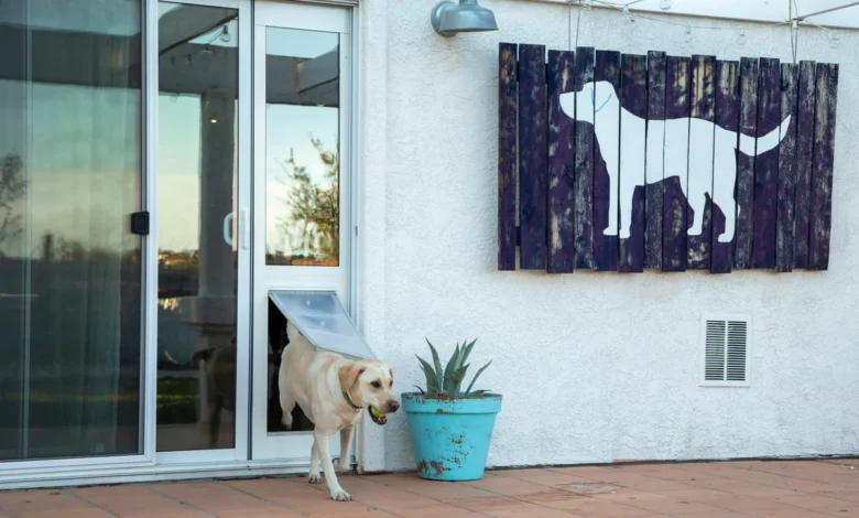 Dog Door