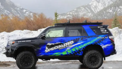 Full vs. Partial Wraps: Which Is Best for Your Business?