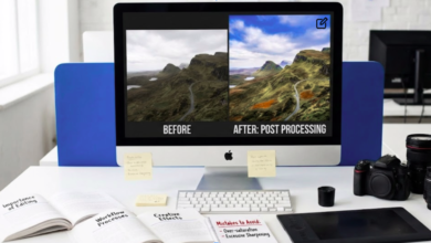Post Processing Photography: Importance, Processes, Effects, and Mistakes to Avoid
