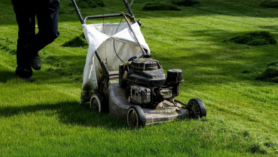 The Ultimate Guide to Seasonal Yard Care