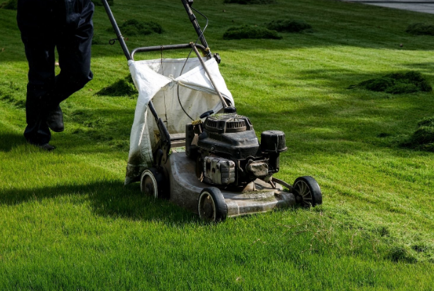 The Ultimate Guide to Seasonal Yard Care