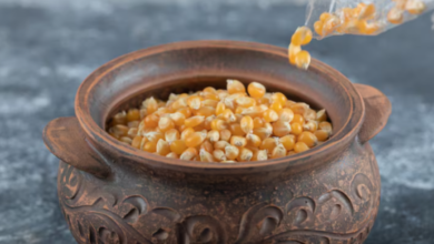 The Ancient Tradition of Nixtamalized Corn and Why It Matters