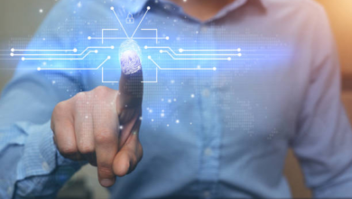 CIP vs KYC: Understanding Where Identification Ends and Verification Begins