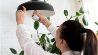 Flat Roof Lights UK A Complete Guide to Modern Natural Lighting Solutions