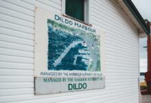 high edge 602546655 authority mapping