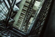 vertex surge growth orbit 920011038