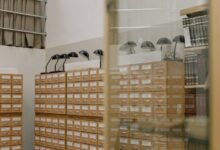 advanced connectivity observation archive content
