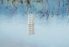 advanced monitoring classification ids