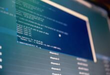 cyber network activity identifiers