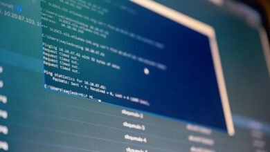 cyber network activity identifiers