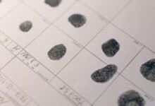 network activity identifier list