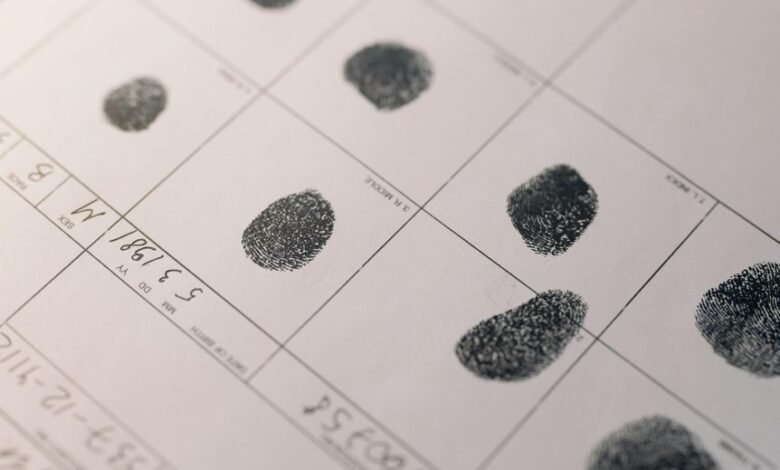 network activity record identifiers listed
