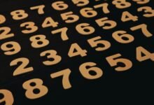 next generation record validation chain