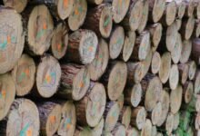 operational system log consolidation identifiers