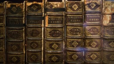 structured digital integrity archive identifiers
