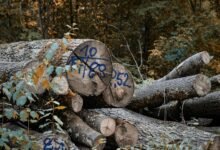 structured security log with phone numbers