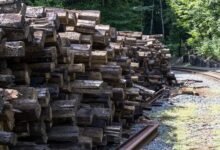 track infrastructure logs with obfuscated names