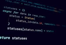 decoded identity hints at networked ids