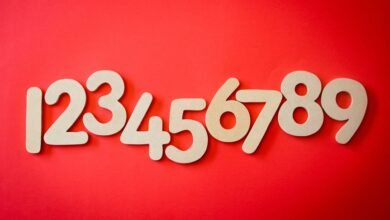 list of phone numbers provided