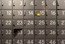 list of six digit activity ids listed