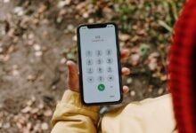 multiple phone numbers listed