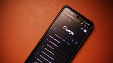 phone numbers identity results list