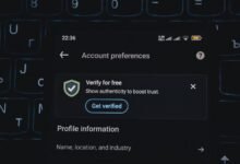 phone verification numbers list exists