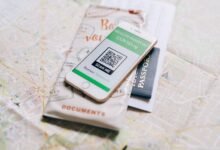scan ids for helpful information